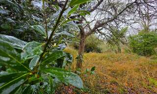 Maison 5 Pièces 90 m² à vendre à La Flèche (72200)