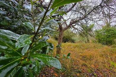 Maison 5 pièces 152999 €