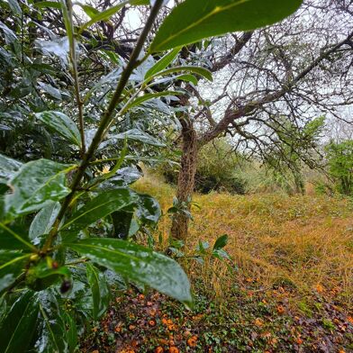 Maison 5 pièces 152999 €