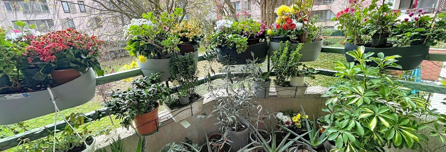 Appartement 3 Pièces 64 m² à vendre à Champs-sur-Marne (77420)