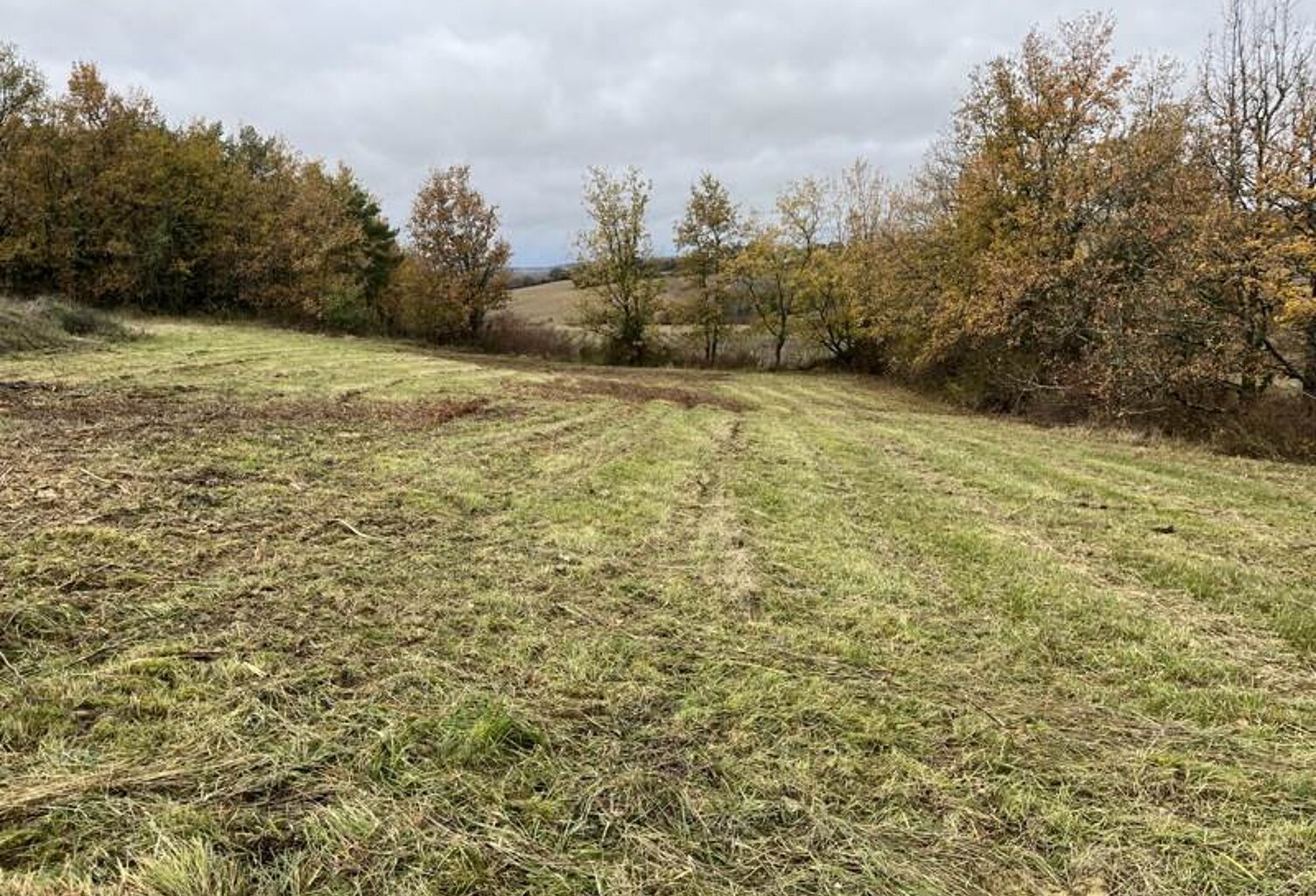 Terrain à bâtir de 0 pièces principales — photo 1