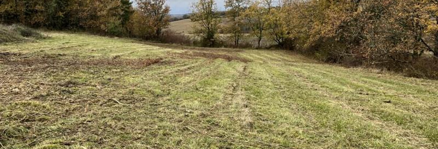 Terrain  1800 m² à vendre à Béraut (32100)