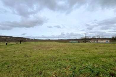 Terrain  29000 €