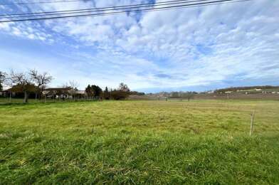 Terrain  29000 €