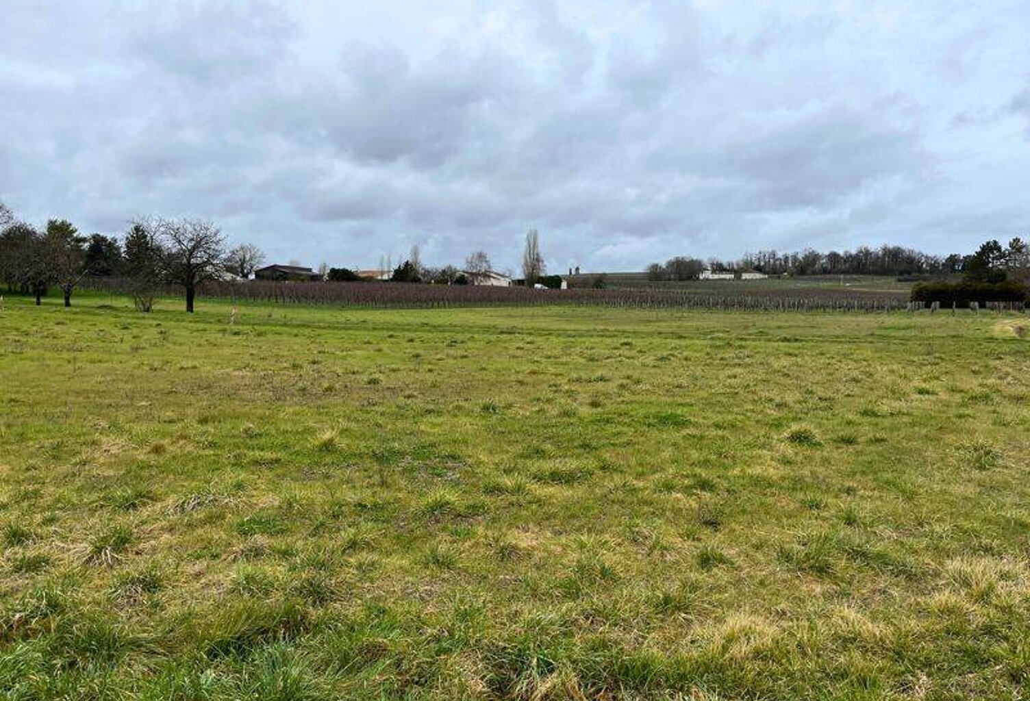 Terrain à bâtir de 0 pièces principales — photo 1