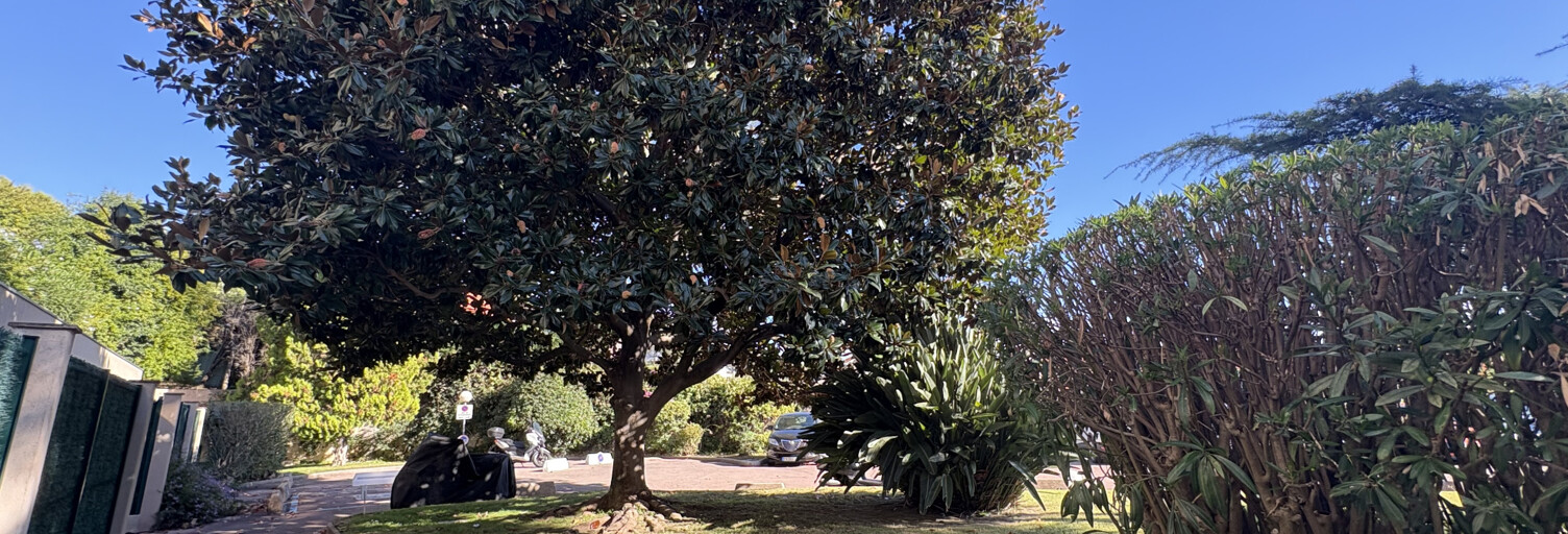 Appartement 1 Pièce 39 m² à vendre à Le Cannet (06110)