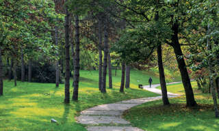 Photo N° 2