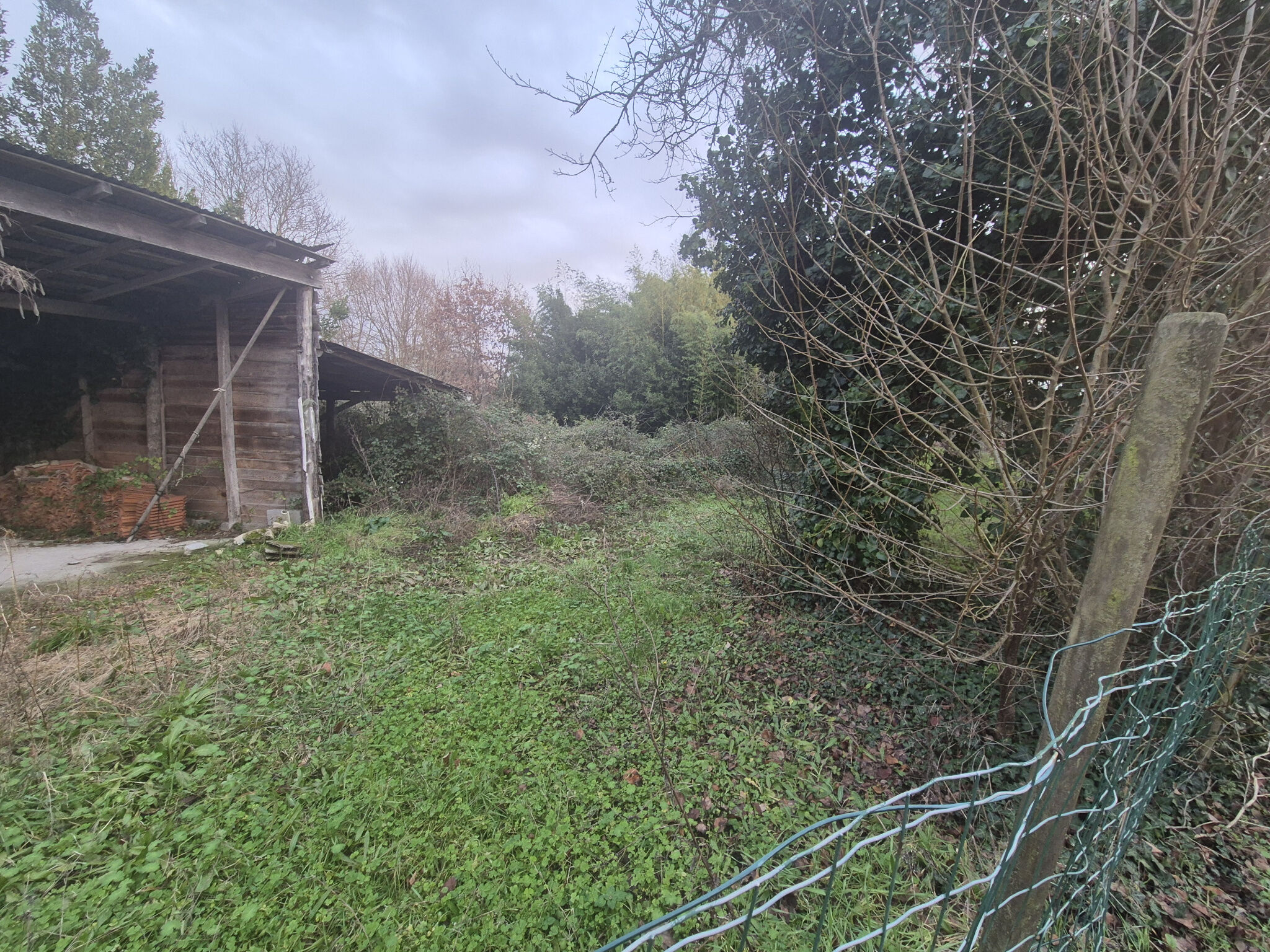 Terrain  à vendre Breuillet 17920