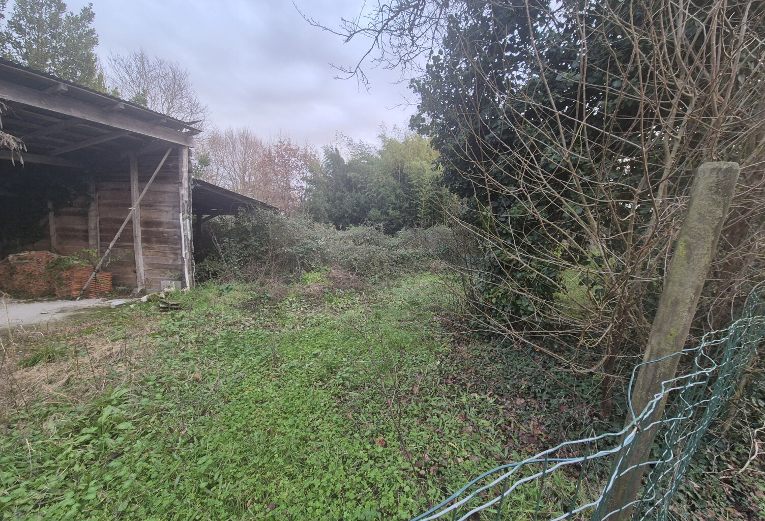 BREUILLET — photo 1