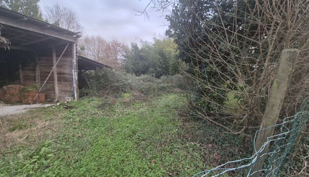 Terrain  à vendre Breuillet 17920