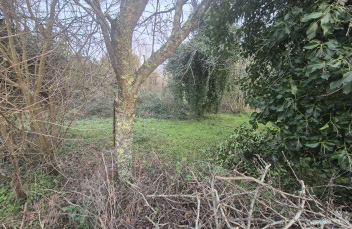 BREUILLET — photo 2