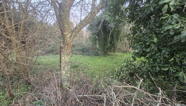 Terrain  à vendre Breuillet 17920