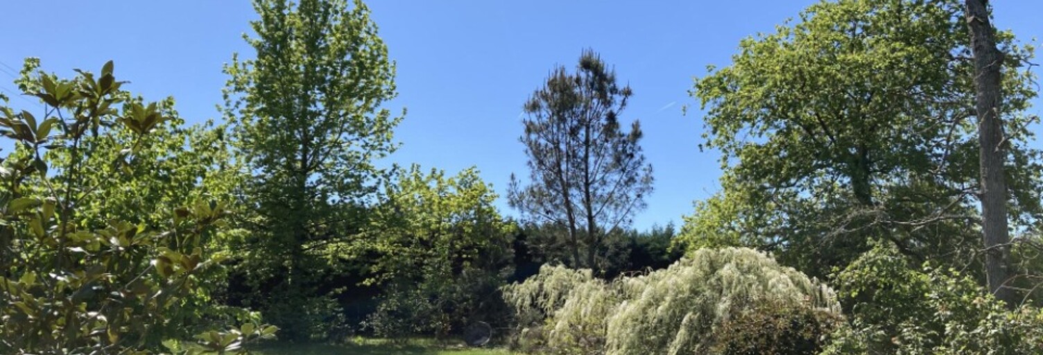 Terrain  831 m² à vendre à Landiras (33720)