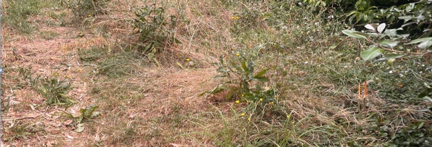 Terrain  400 m² à vendre à Cadillac-sur-Garonne (33410)