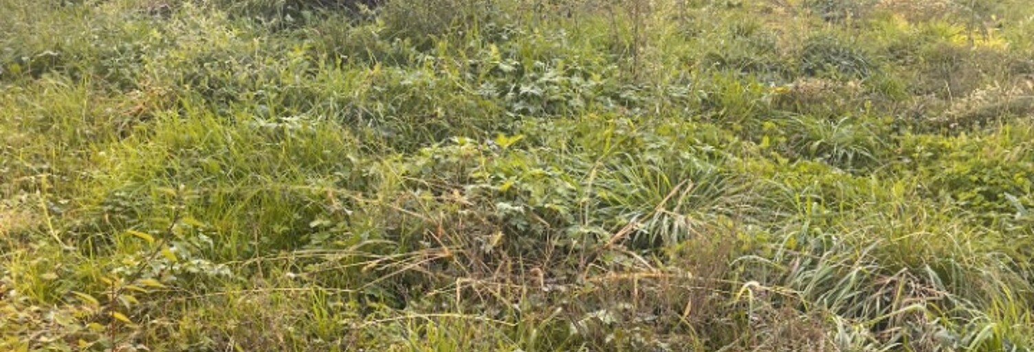 Terrain  530 m² à vendre à Capian (33550)