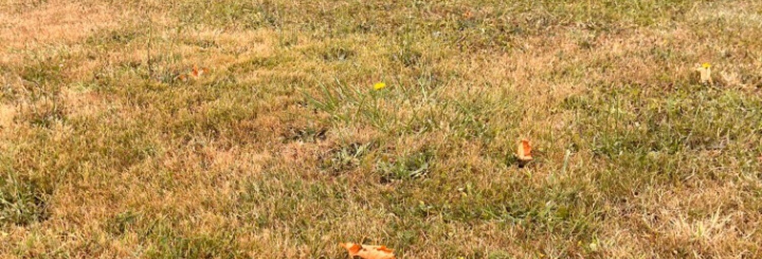 Terrain  708 m² à vendre à Créon (33670)