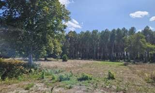 Terrain 2800 m² à construire Uzeste (33730)