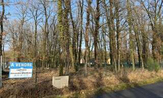 Terrain  2000 m² à vendre à Verrie (49400)