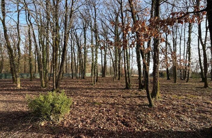 VERRIE, Terrain de 2000m² à bâtir hors lotissement et libre de constructeur — photo 2