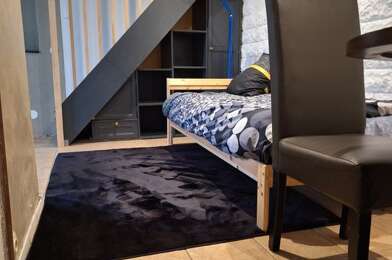 Appartement 1 pièces 550 €