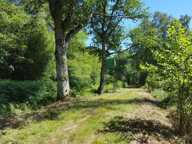 Propriété de chasse Clemont — photo 3