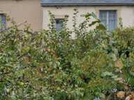 Maison de ville, 7 pièce(s) 140 m2 5 chbres avec garage — photo 3