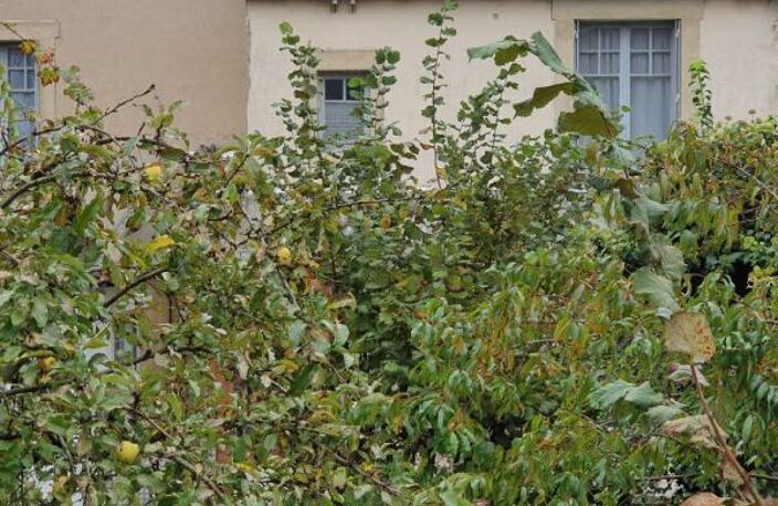 Maison de ville, 7 pièce(s) 140 m2 5 chbres avec garage — photo 3