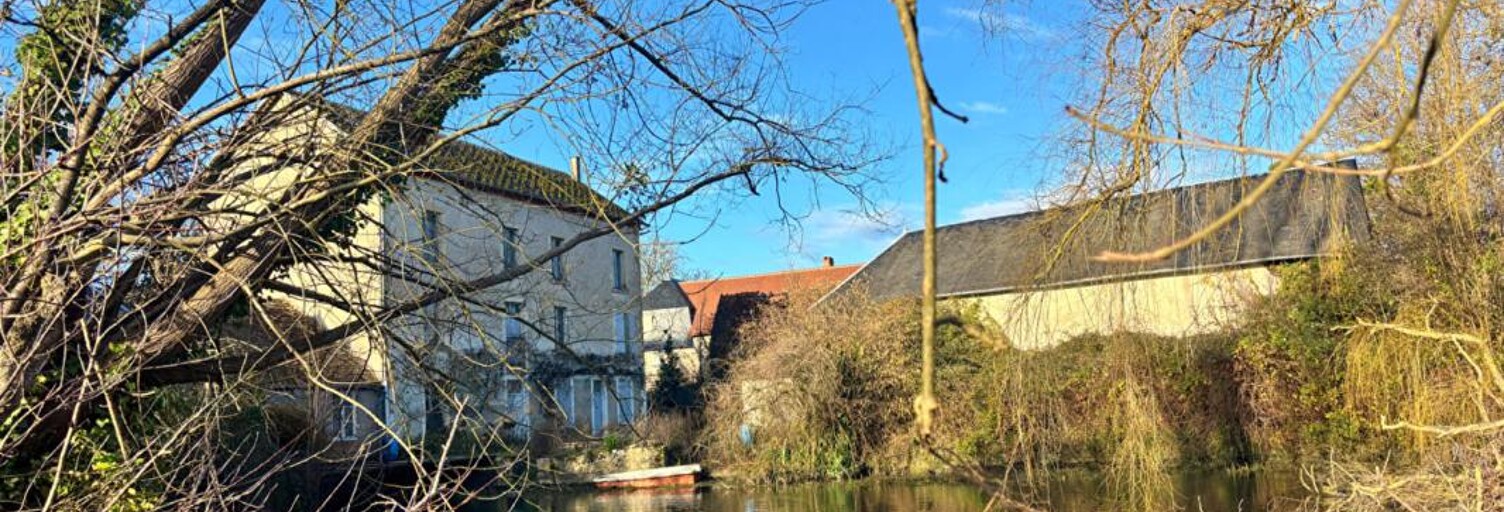 Maison  400 m² à vendre à Mehun-sur-Yèvre (18500)
