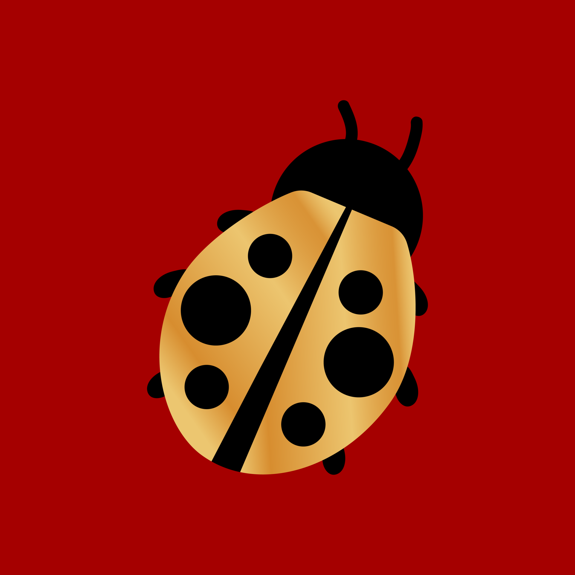 Appartement  T3 à vendre Perpignan 66000