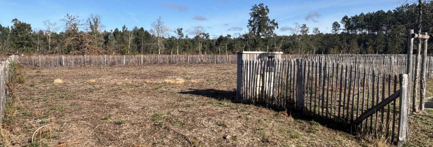 Terrain   m² à vendre à Moliets-et-Maâ (40660)