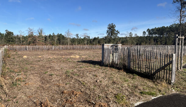 Terrain  à vendre Moliets-et-Maa 40660