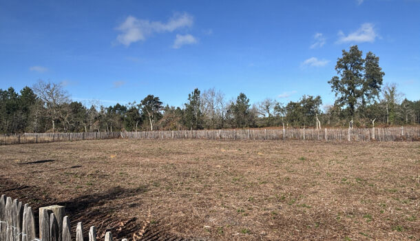 Terrain  à vendre Moliets-et-Maa 40660