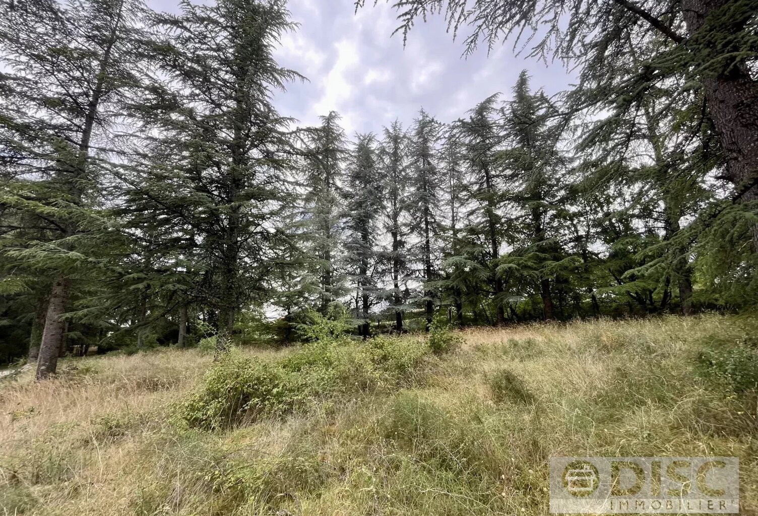 Terrain constructible de 1 100 m² – À 10 minutes du centre-ville de Cahors — photo 1