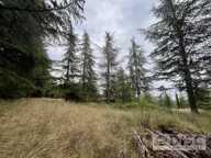 Terrain constructible de 1 100 m² – À 10 minutes du centre-ville de Cahors — photo 3