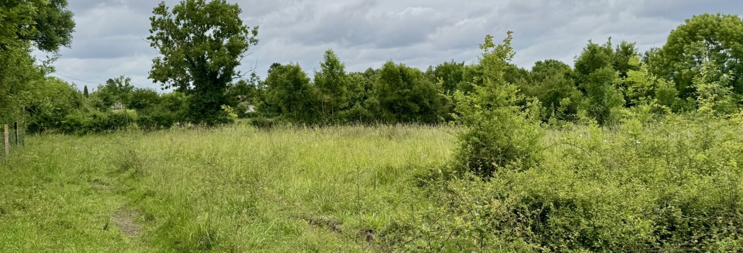 Terrain  3864 m² à vendre à Surin (79220)