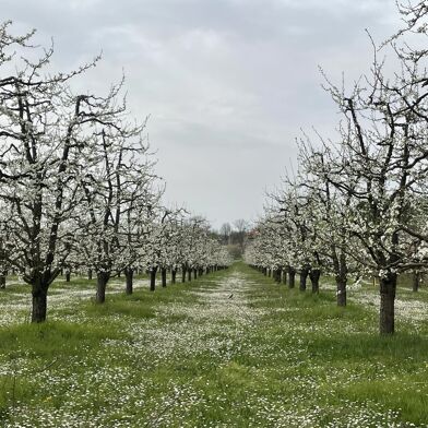 Maison 1 pièces 640000 €
