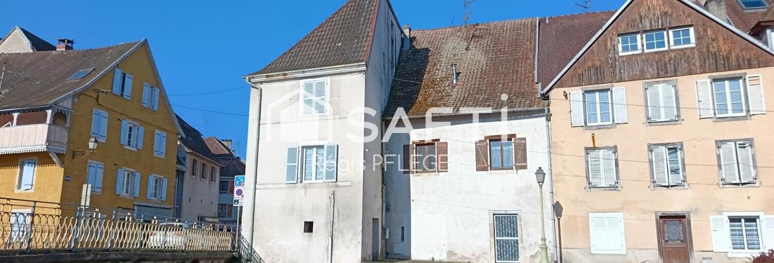 Immeuble  180 m² à vendre à Delle (90100)