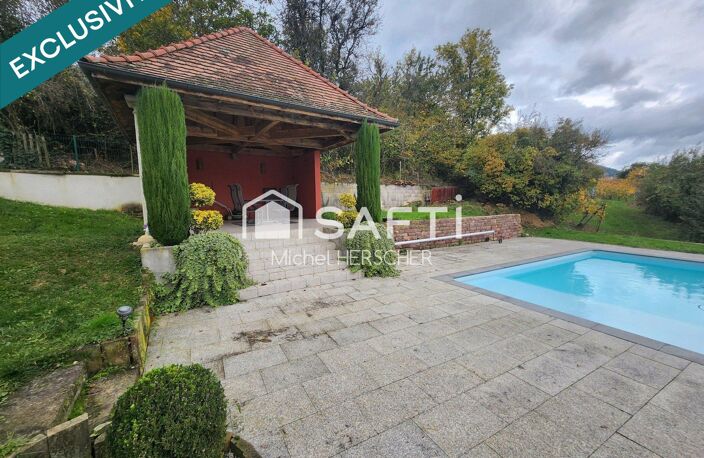 VGTlinshoffen  PROPRIÉTÉ D'EXCEPTION AU CUR DU VIGNOBLE ALSACIEN — photo 3
