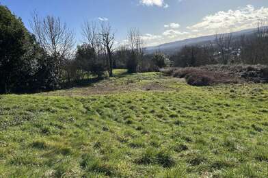Terrain  29000 €