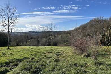Terrain  29000 €