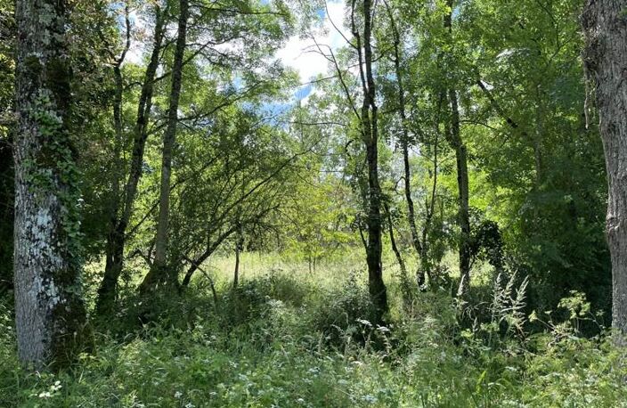 Ferme (tte) de 5 pièces principales — photo 4