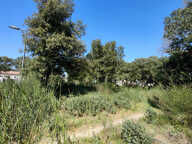 Rochefort-Du-Gard : terrain de 495m2 en vente — photo 2