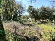 Rochefort-Du-Gard : terrain de 495m2 en vente — photo 3