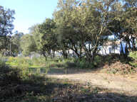 Rochefort-Du-Gard : terrain de 495m2 en vente — photo 4