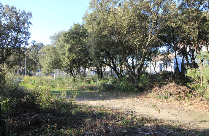 Rochefort-Du-Gard : terrain de 495m2 en vente — photo 4