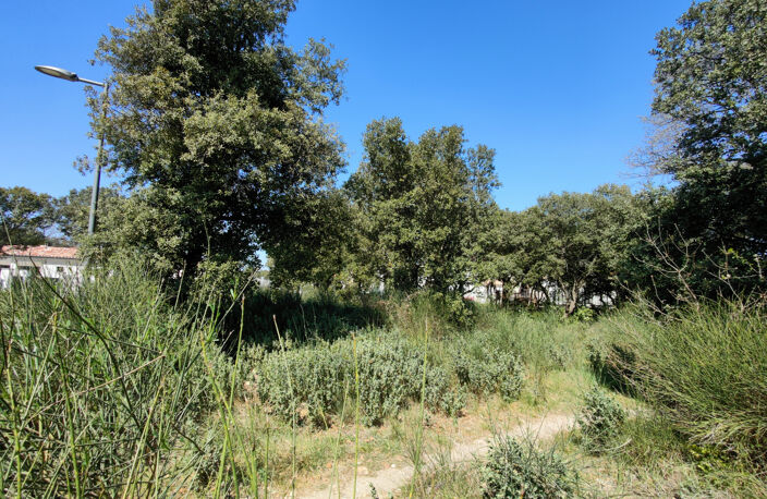  Terrain à bâtir — photo 2