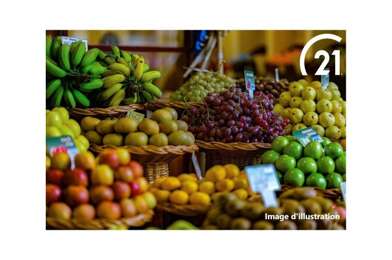 Commerce  699000 €