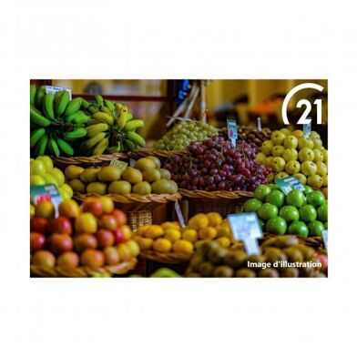 Commerce  699000 €