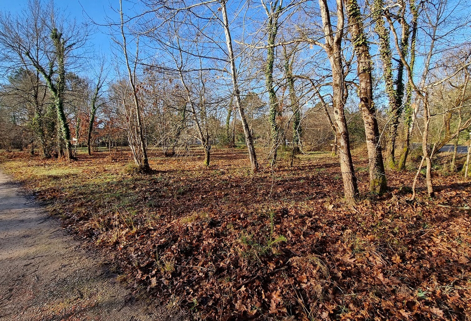 Magnifique terrain à vendre à Mezos — photo 1