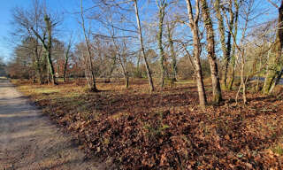 Terrain  2713 m² à vendre à Mézos (40170)